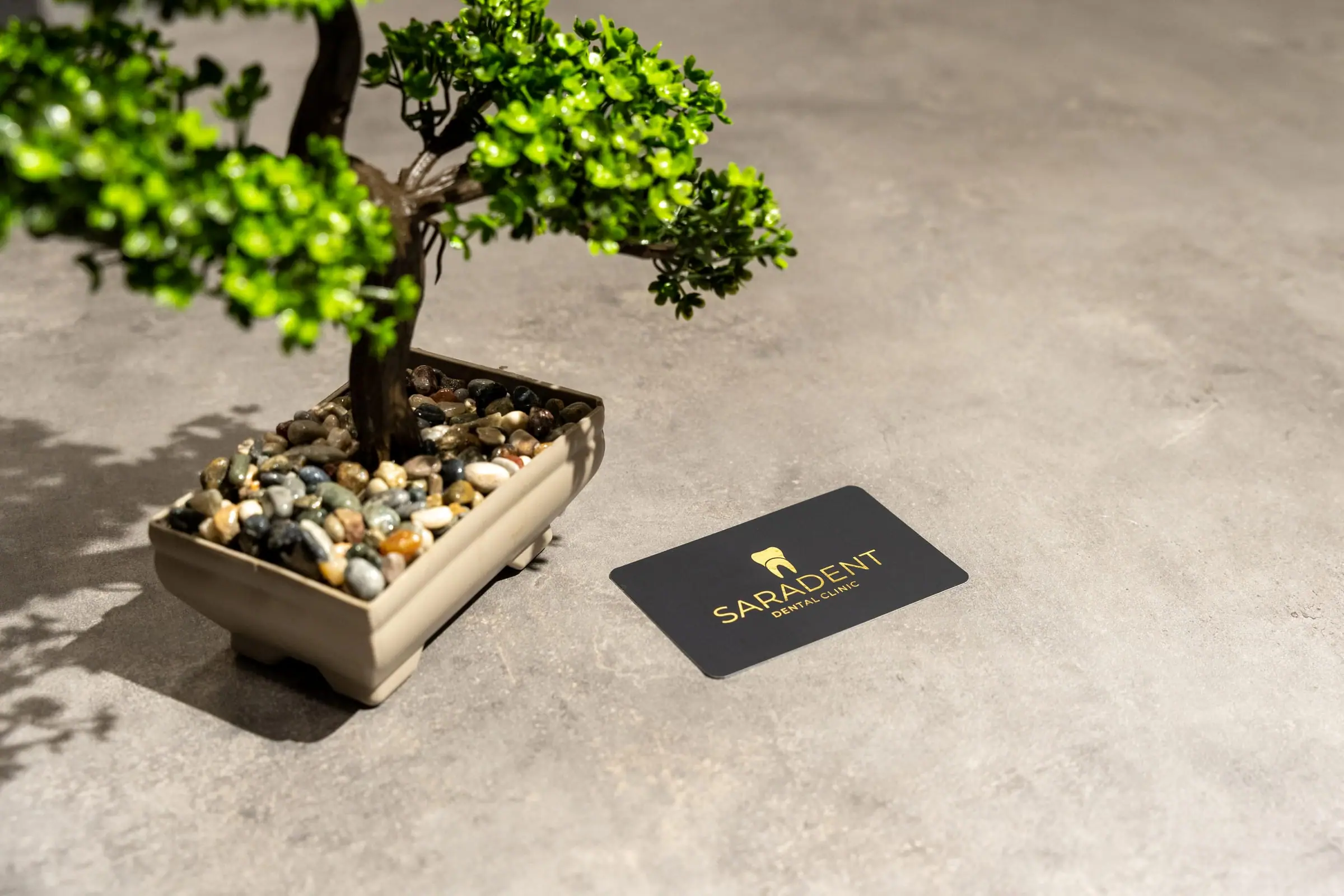 Bonsai and a Saradent business card on a stone surface